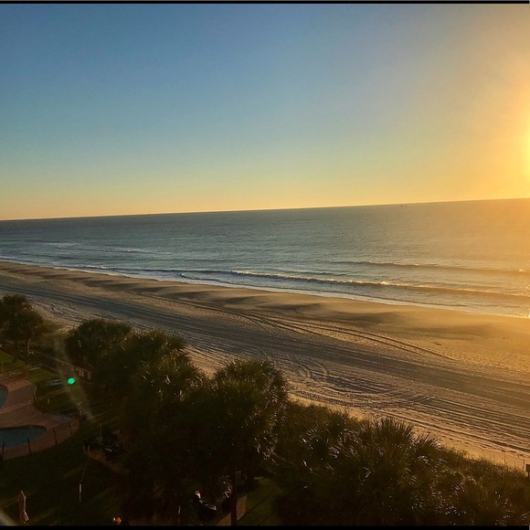 Meet your Posher, Donna - Picture 1 of 1